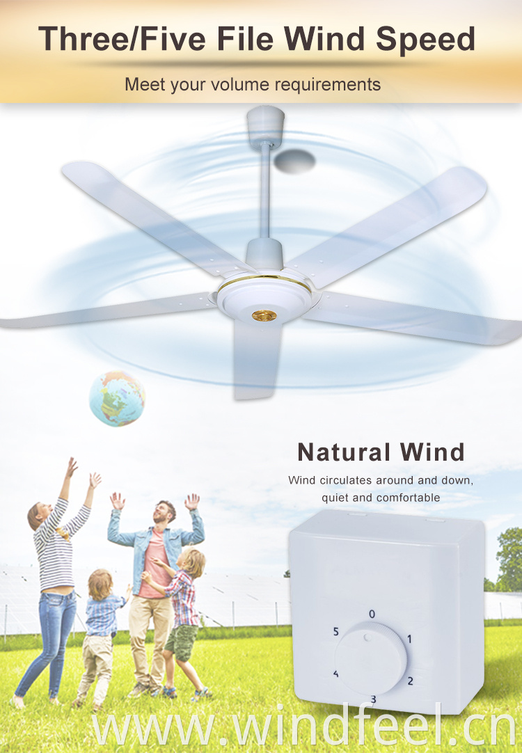 Foshan Factory 56inch Electrical Ceiling Fan White